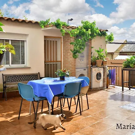 Comfortable In 55 M² Welcoming Terrace 아파트 Caces